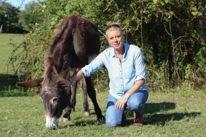 Man with a donkee in a field